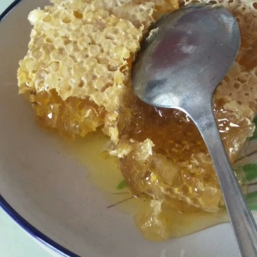 纯天然土蜂蜜假一赔十