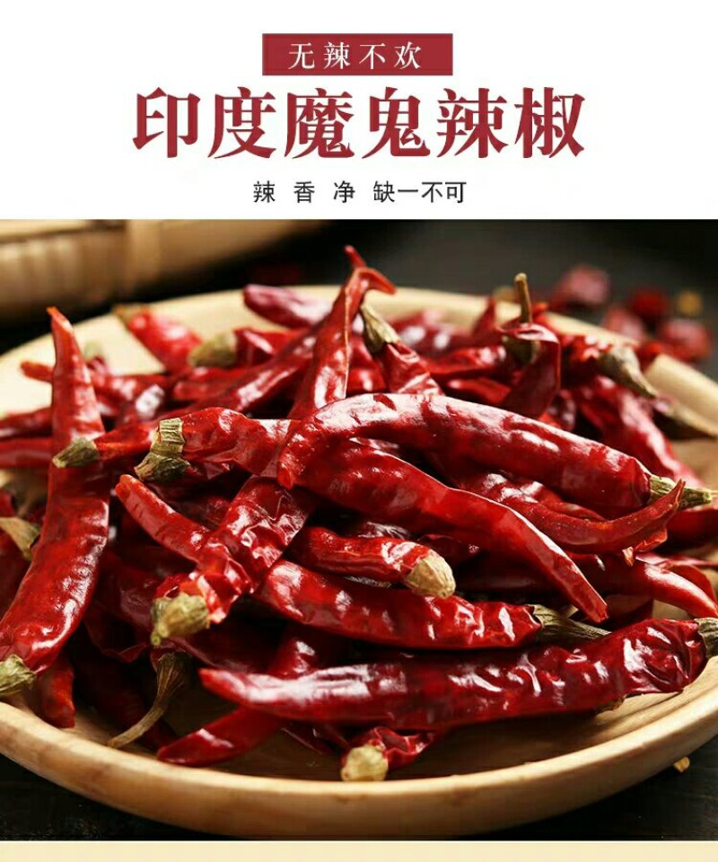 高辣度干辣椒魔鬼辣印度椒辣椒王S17