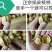 新疆阿克苏185纸皮核桃,上等品质,三公斤100元包邮
