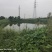 句容110亩水塘，20亩土地，有住房。