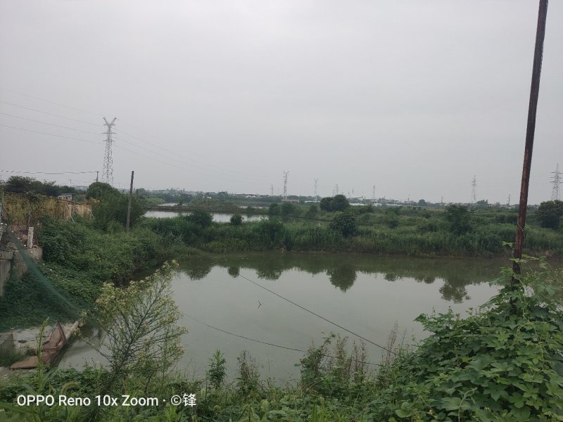 句容市110亩水面，20亩地，靠近南京。