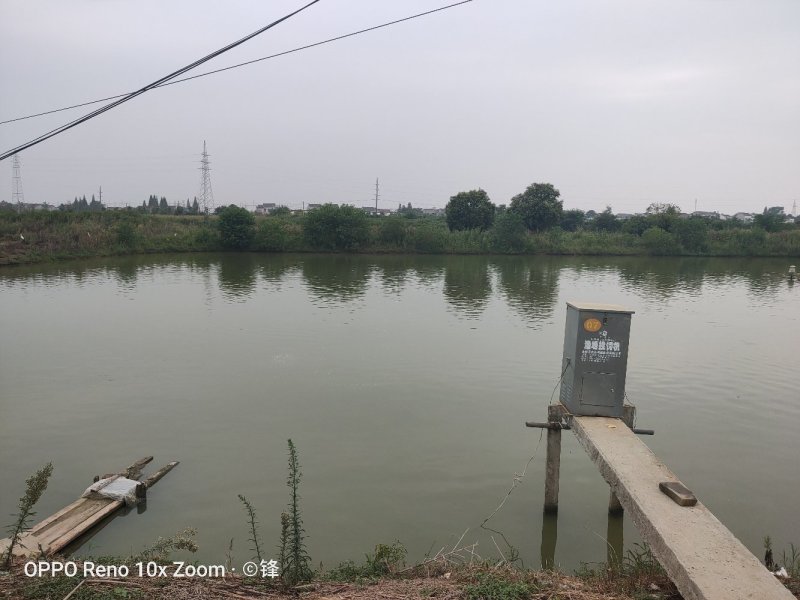 句容市110亩水面，20亩地，靠近南京。