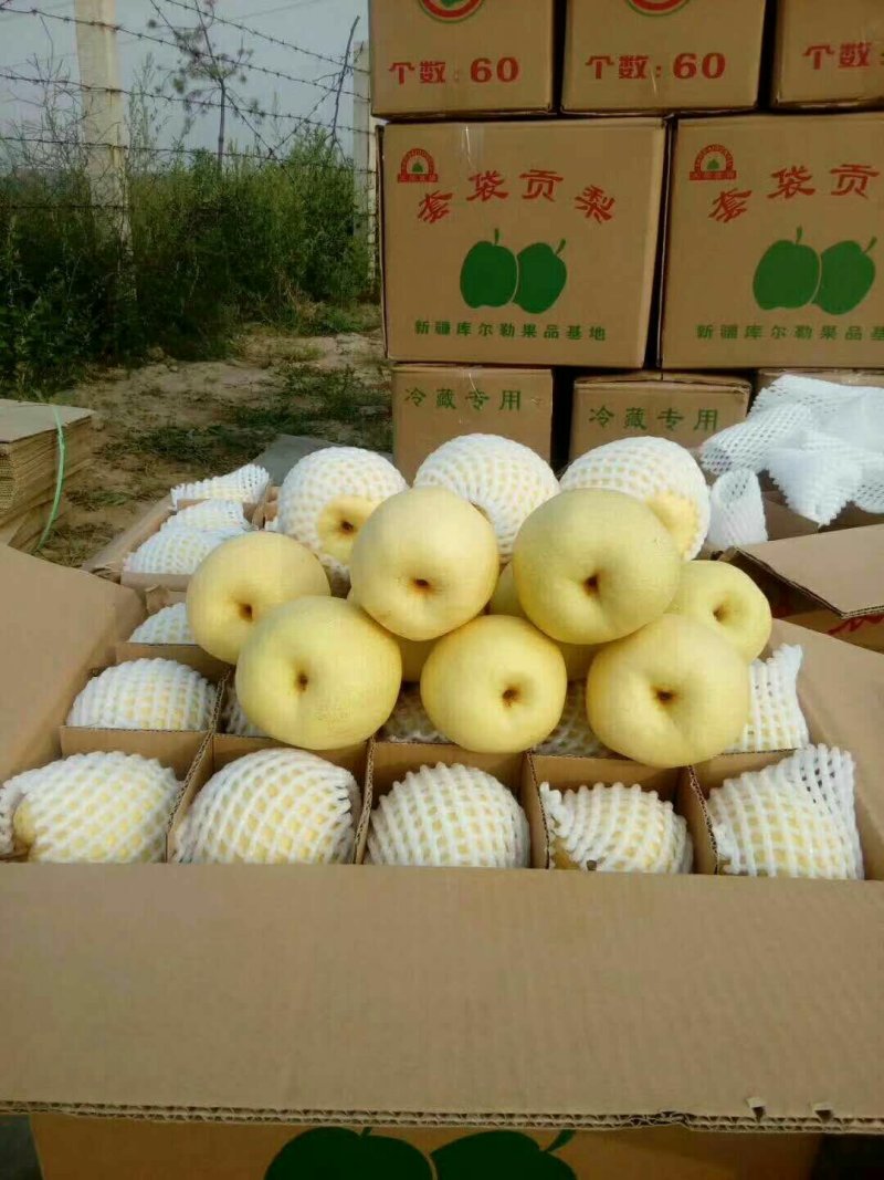 酥梨大量上市砀山酥梨大量上市诚信经营价格低