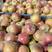 山东潍坊红将军苹果，大量有货，提供各种包装，支持打款发