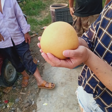 香甜酥脆，