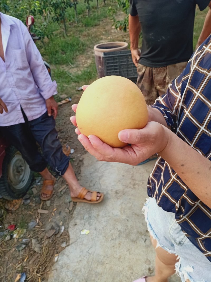 香甜酥脆，