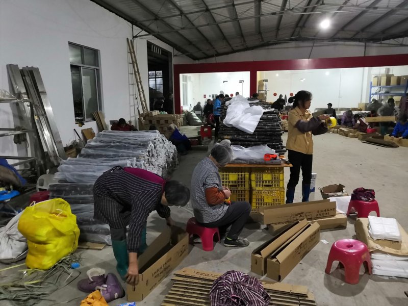 热卖区(广西甘蔗)基地直供，回程车免费提供。