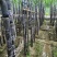 热卖区(广西甘蔗)基地直供，回程车免费提供。