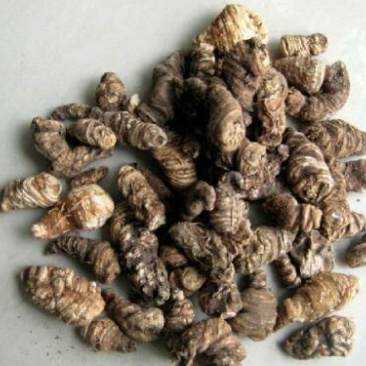 七叶一枝花重楼干货千余品种供应承接订单