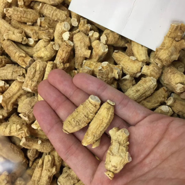美国进口西洋参软肉干货靓货味道香甜可口纯