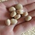 优质羊眼豆,龙眼豆,圆圆豆,眯眯豆,炒货豆子