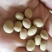 优质羊眼豆,龙眼豆,圆圆豆,眯眯豆,炒货豆子