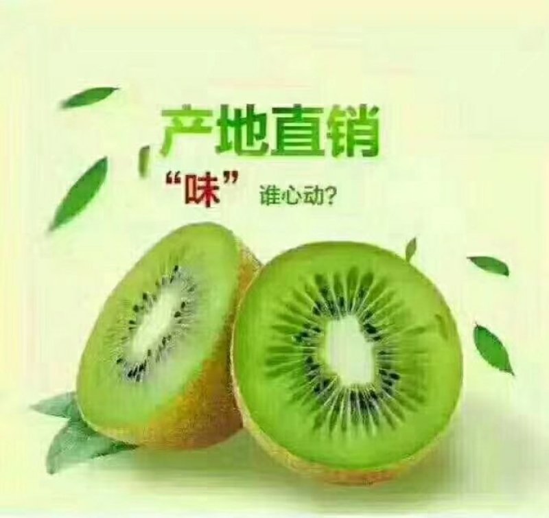 猕猴桃
