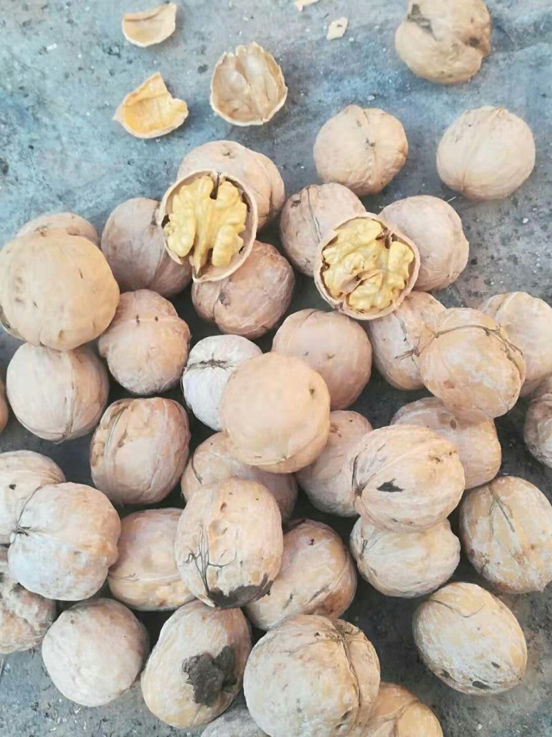 汾阳本地薄皮核桃