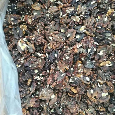 黑仁，榨油用核桃仁，加工榨油用仁