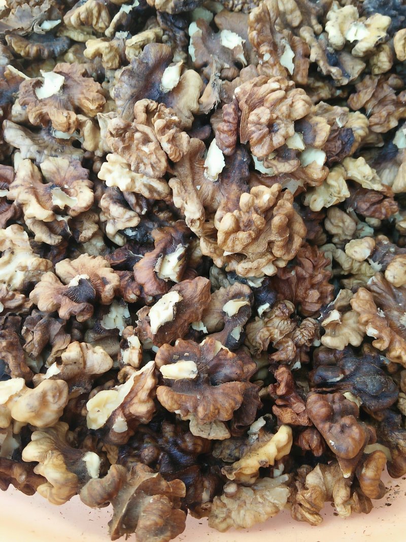 浅核桃仁，通货浅色核桃仁，核桃仁浅色仁
