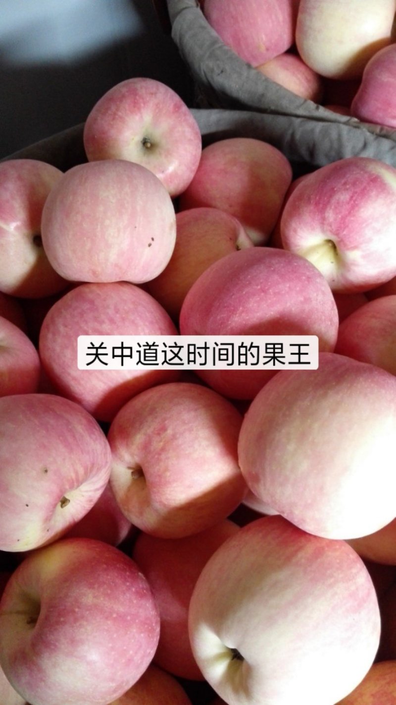 水果