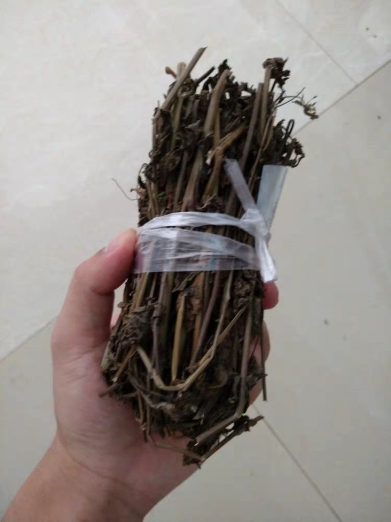 优选干品一点红红背草叶下红羊蹄草农家初选农副产品