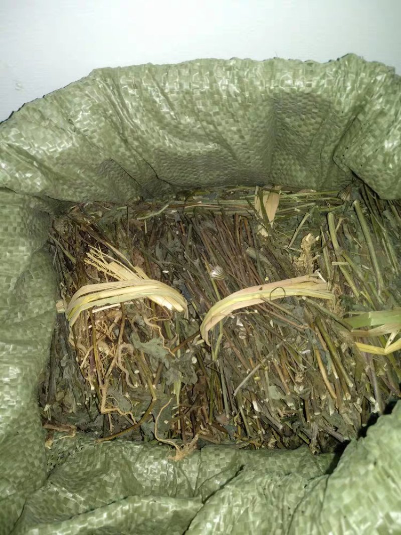 优选干品一点红红背草叶下红羊蹄草农家初选农副产品