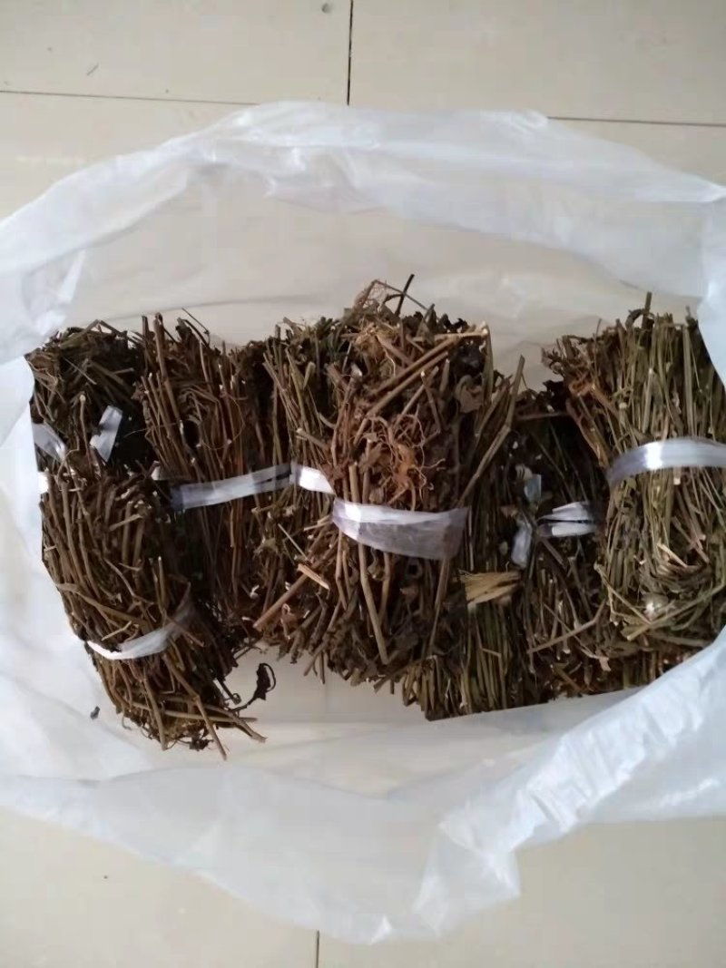 优选干品一点红红背草叶下红羊蹄草农家初选农副产品