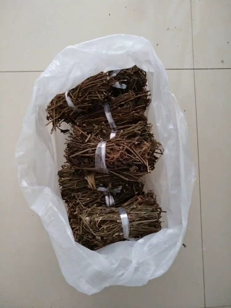 优选干品一点红红背草叶下红羊蹄草农家初选农副产品