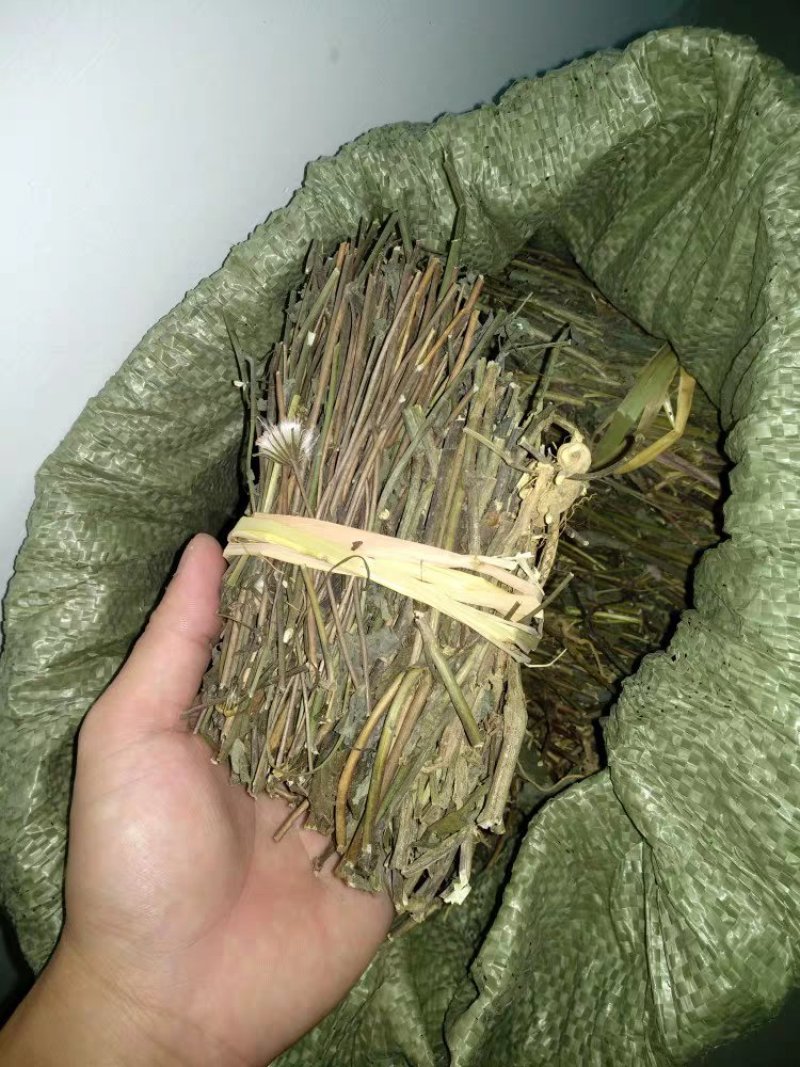 优选干品一点红红背草叶下红羊蹄草农家初选农副产品