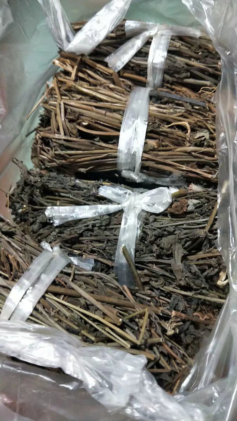 优选干品一点红红背草叶下红羊蹄草农家初选农副产品