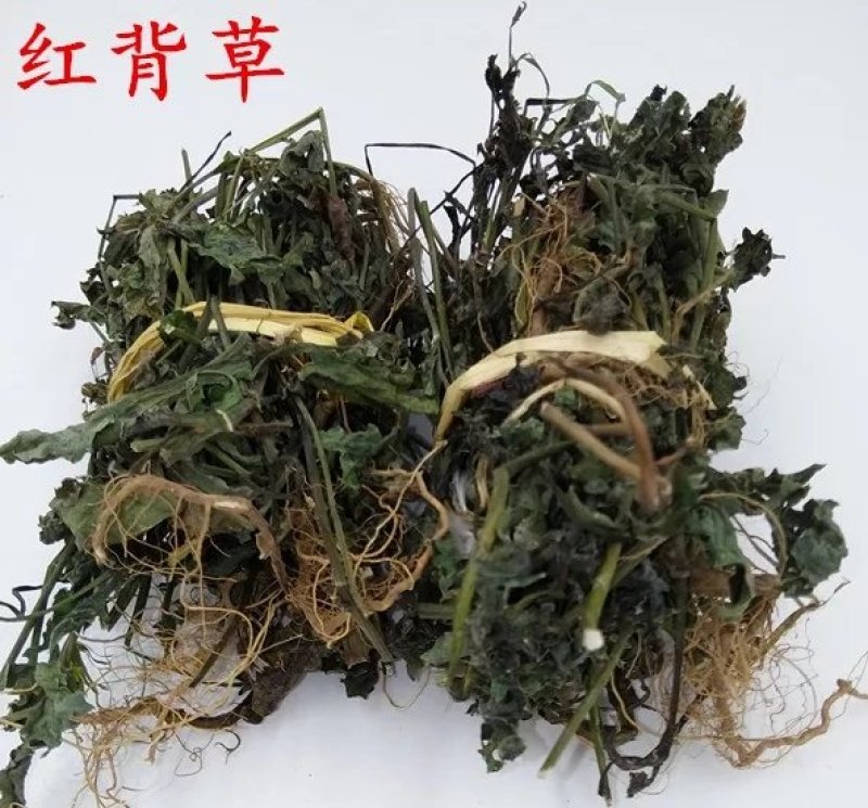 优选干品一点红红背草叶下红羊蹄草农家初选农副产品