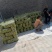 露天冬枣大量上市中价格便宜成熟度好