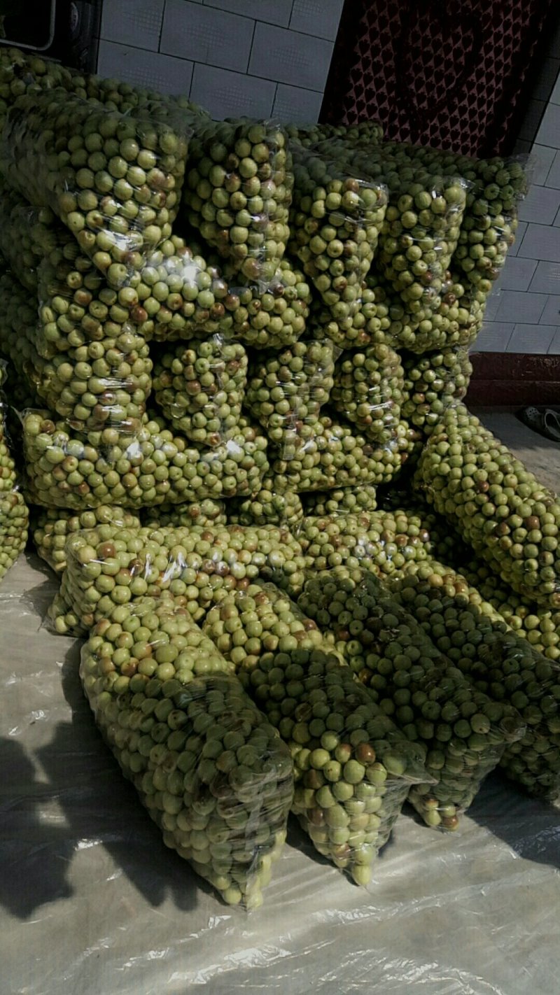 露天冬枣大量上市中价格便宜成熟度好
