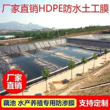 防渗膜土工膜蓄水池莲藕池鱼池防渗膜鱼塘专用防水膜水产