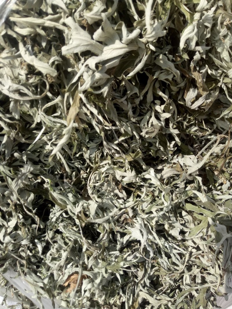 艾叶。纯正野生小叶艾，原产地有陈艾，需要陈艾可提前预