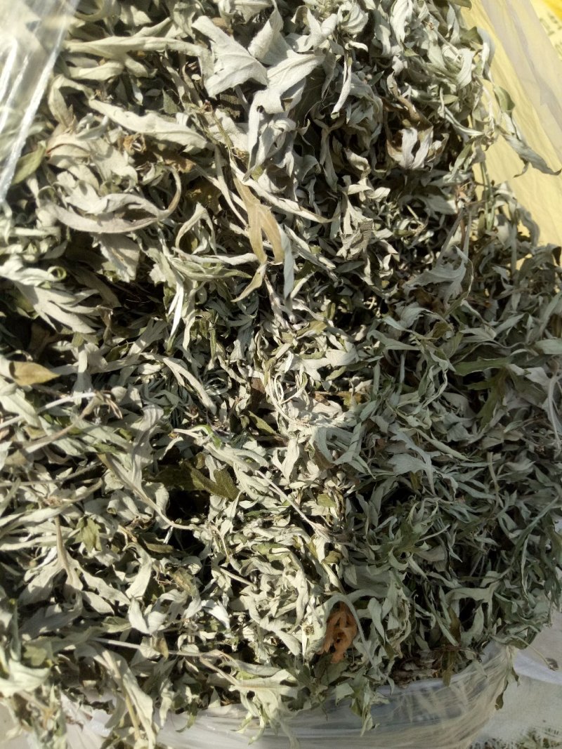 艾叶。纯正野生小叶艾，原产地有陈艾，需要陈艾可提前预