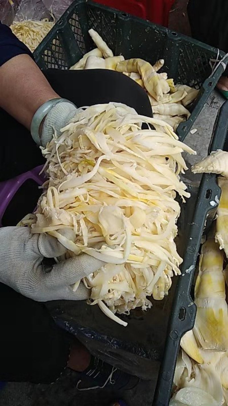 竹笋凉拌炒螺专用竹笋丝笋尾丝笋丝麻竹笋苗