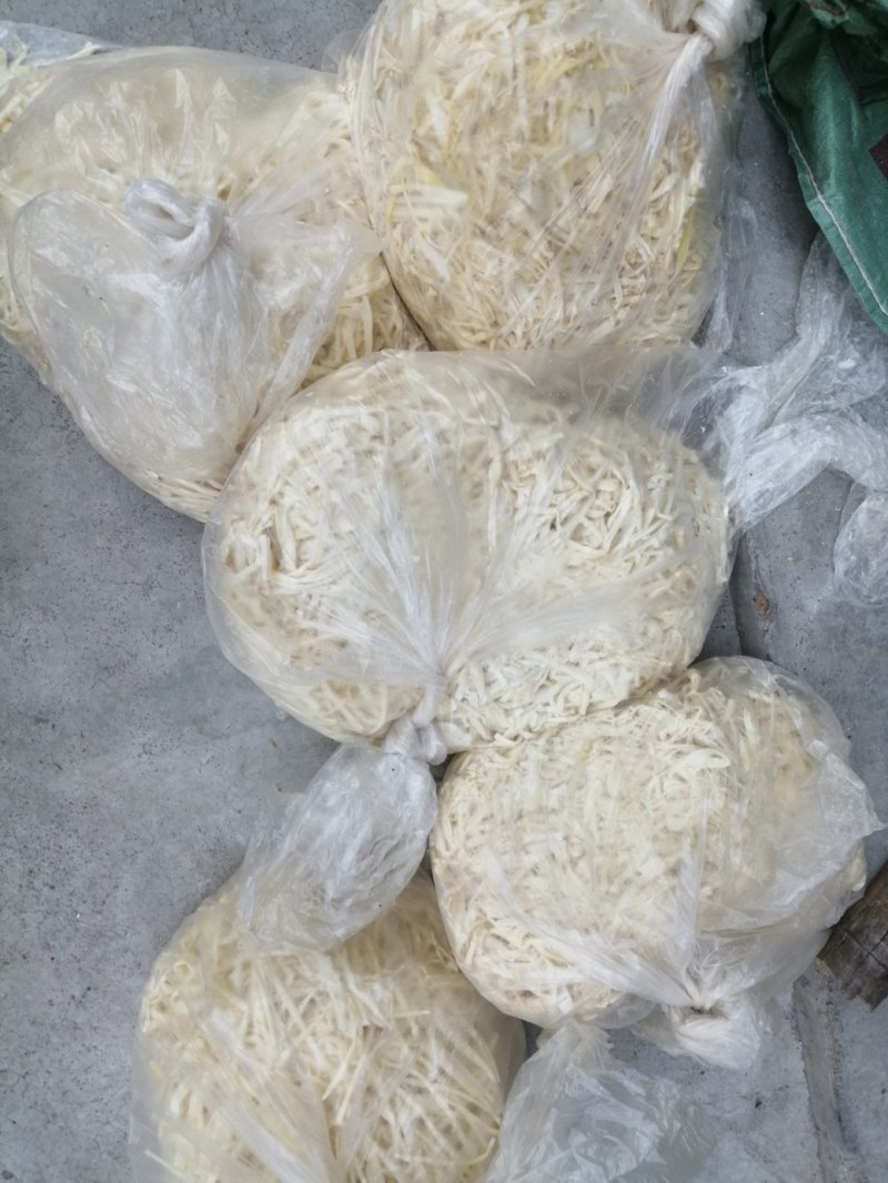 竹笋凉拌炒螺专用竹笋丝笋尾丝笋丝麻竹笋苗