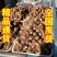 芋头8520未挑球黄沙土地生长