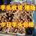 山东芋头8520大量上市可对接超市、网店，各大市场供应