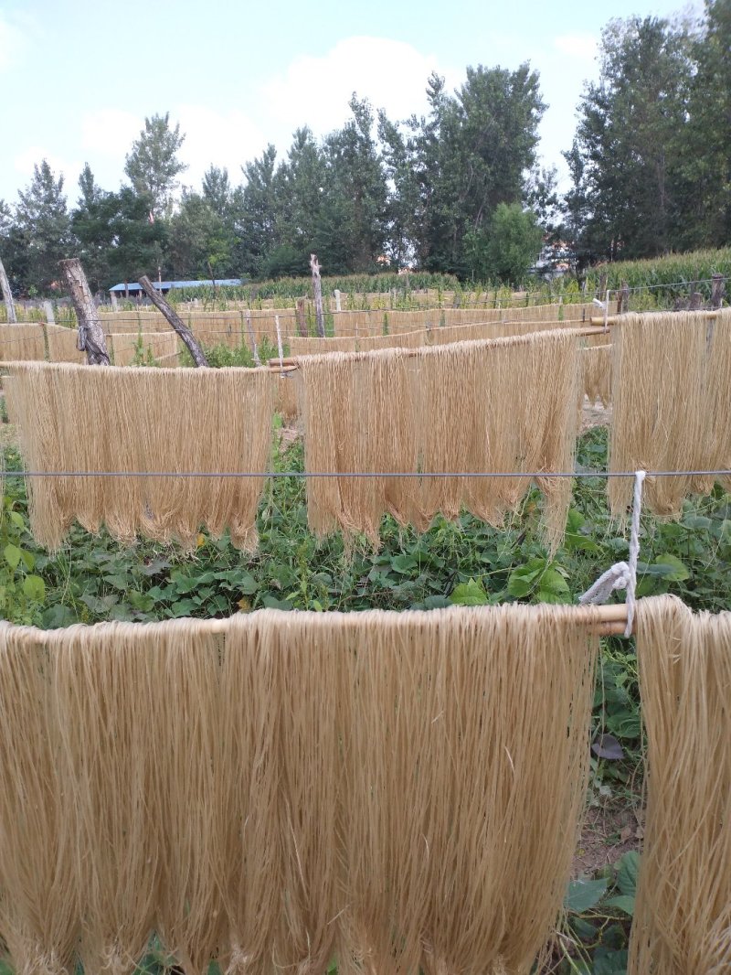 粉条粉皮大量上市