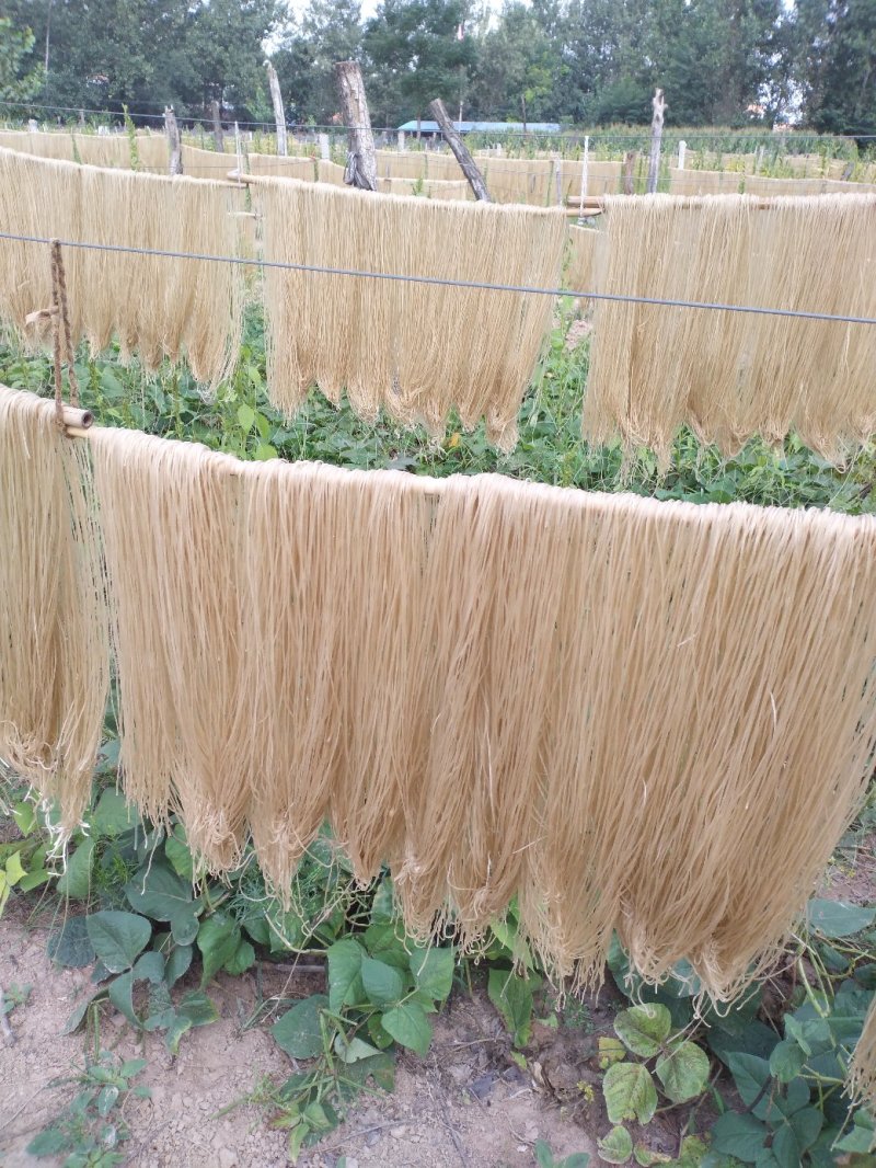 粉条粉皮大量上市
