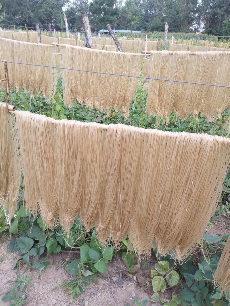 粉条粉皮大量上市