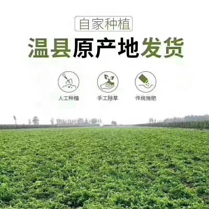 怀庆府铁棍山药6斤特惠装，温县产区直供鲜山药