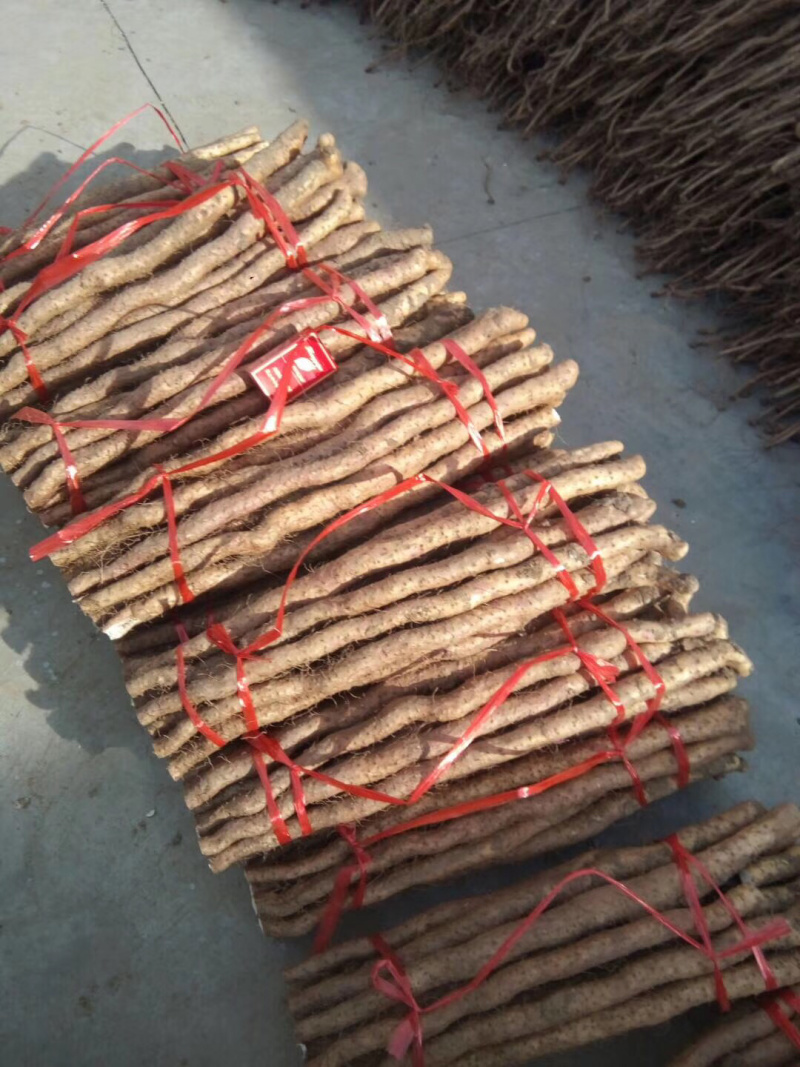 怀庆府铁棍山药6斤特惠装，温县产区直供鲜山药