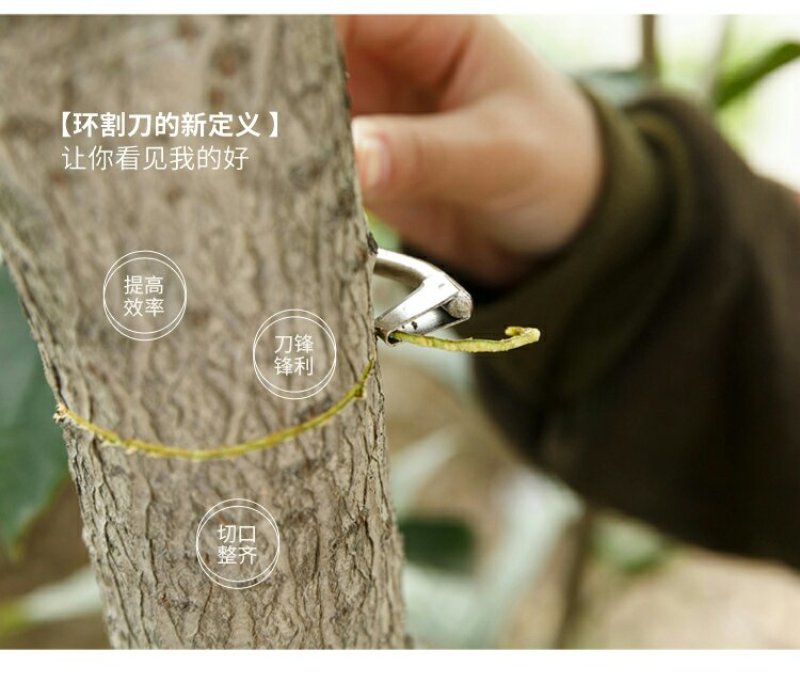 果树环剥刀葡萄修枝蜜柚苹果梨树枣树桃树环剥