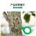 果树环剥刀葡萄修枝蜜柚苹果梨树枣树桃树环剥