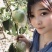 玉露香梨