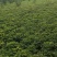 优质鲜花生，质量好，价格低，欢迎新老客户前来选购