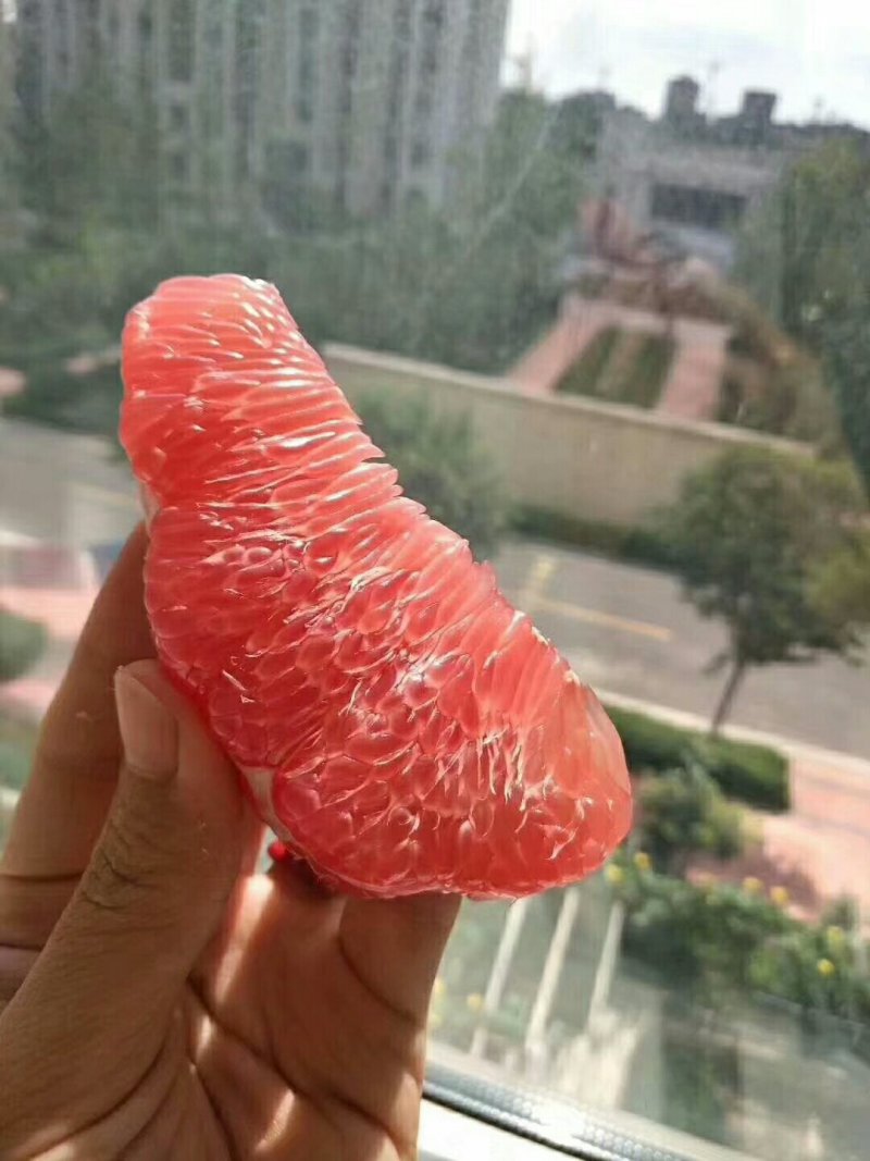 三红蜜柚果之缘生鲜电商平台