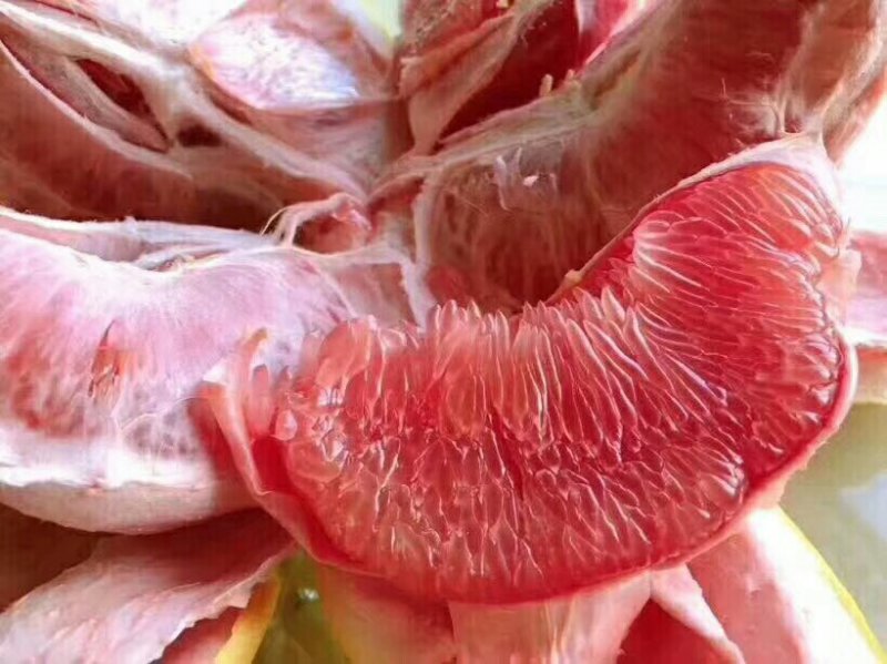 三红蜜柚果之缘生鲜电商平台