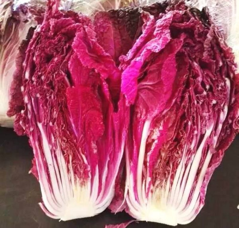 易门紫白菜