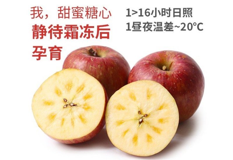 【一件代发精品】大凉山盐源丑苹果冰糖心丑苹果